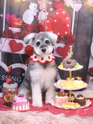 20250216蘭ちゃん